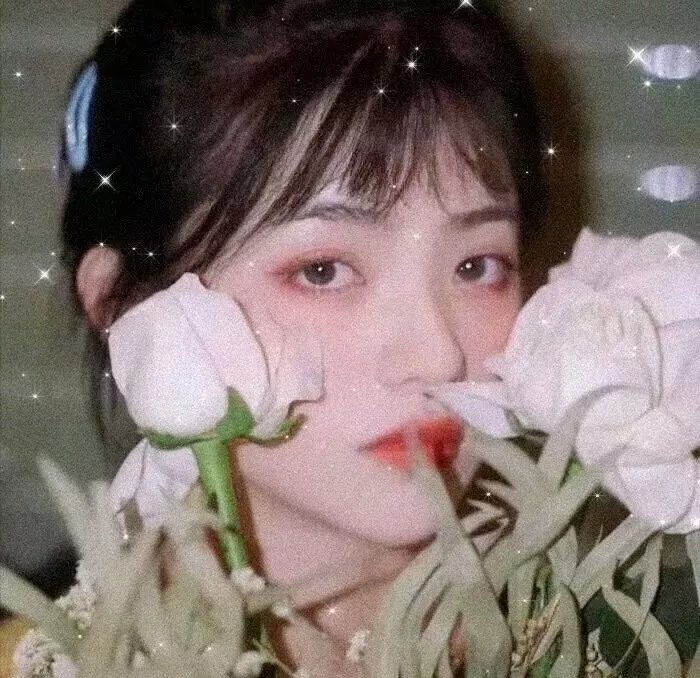 女人与高铁