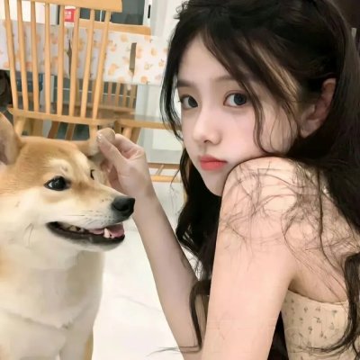 大卫林区：绿野谜踪